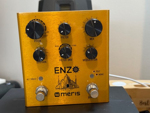 Meris enzo synth guitar - synth,
