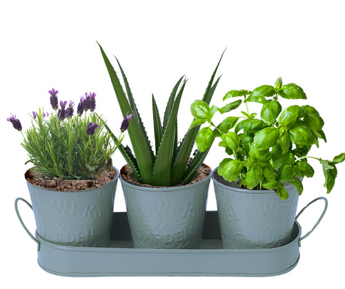 Set windowsill metal - windowsill, herb