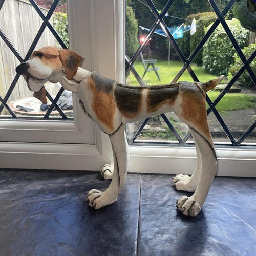Breed apart foxhound - foxhound, fox