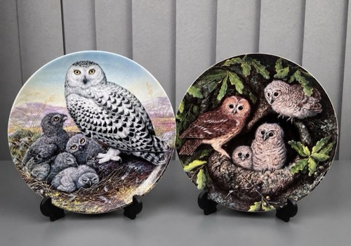 Danbury mint wedgwood owl - mint,