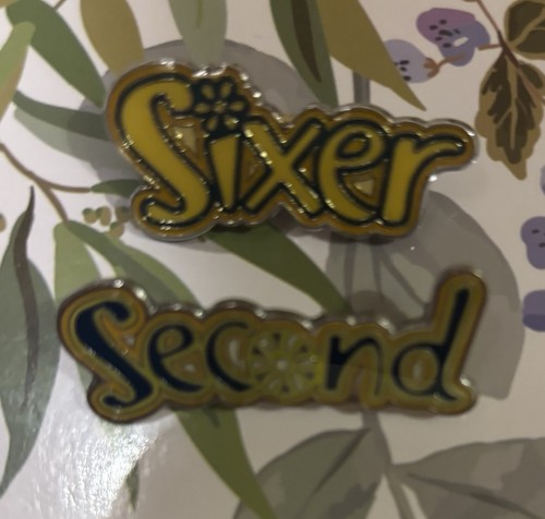 Girlguiding brownie sixer and - girlguiding,