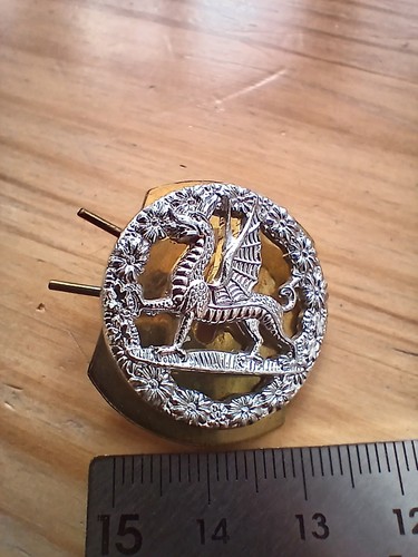 Vtg royal regiment wales - vtg, of