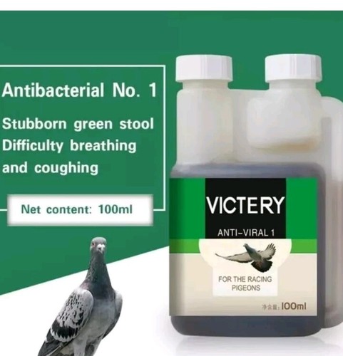 Racing pigeons antibacterial - racing,