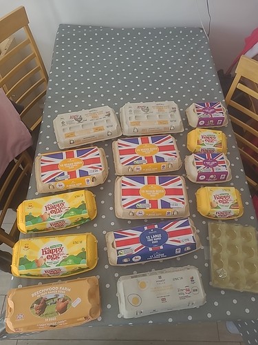 15x empty used egg boxes - used,