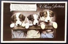VINTAGE DOG POSTCARD BORDER