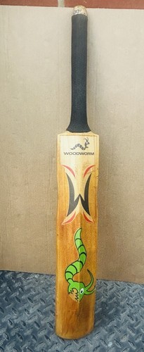 Super rare genuine - rare, woodworm