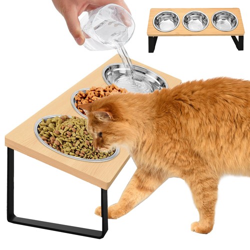 Raised cat bowls - cat,