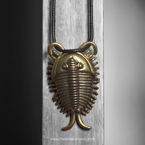 Vintage brass trilobite - vintage,