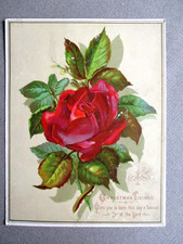 Victorian Christmas Card Greetings Religious Verse Charlotte Murray Red Rose
