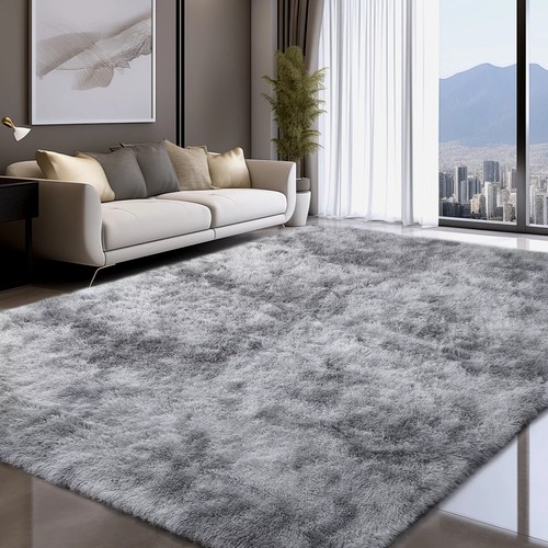 Fluffy rugs anti - anti-slip, large