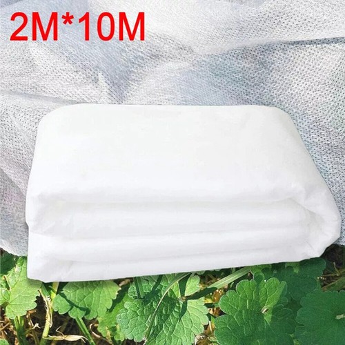 10m winter frost - winter, landscape