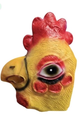 Yellow chicken head full - head,