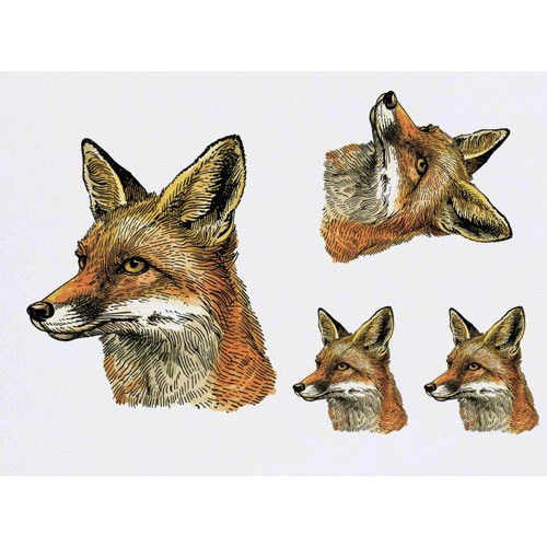 Vintage fox portrait - 'vintage,