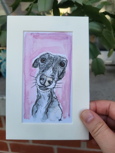 Hairy scruffy lurcher hand