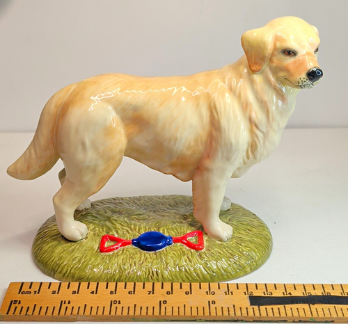 Golden retriever dog - retriever,
