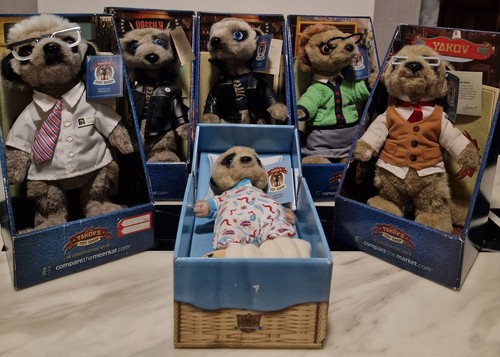 Compare meerkats bundle - 6x,
