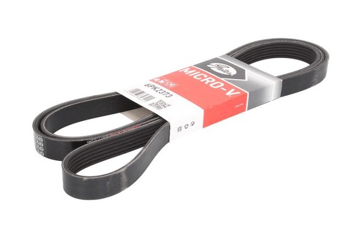 Gat multi ribbed belt - multi,