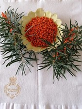 OCTOBER SALE. Selling Fresh Sea Buckthorn Berries.
