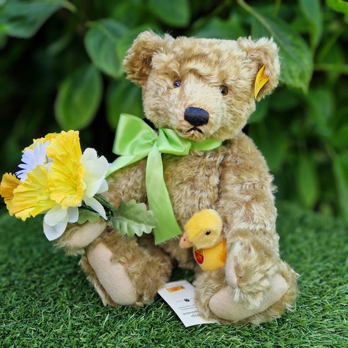 Once loved spring bear dylan - loved,