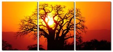 Picture Evening Sun Tree Set