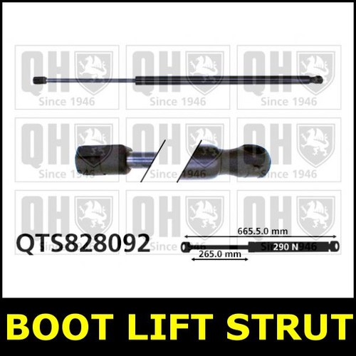 Boot gas strut tailgate for - gas,