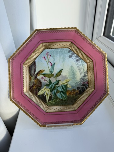 Rare and stunning copeland - stunning,