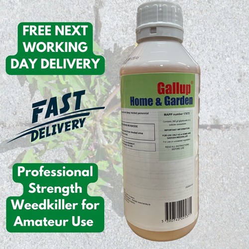 Gallup home garden - home, &