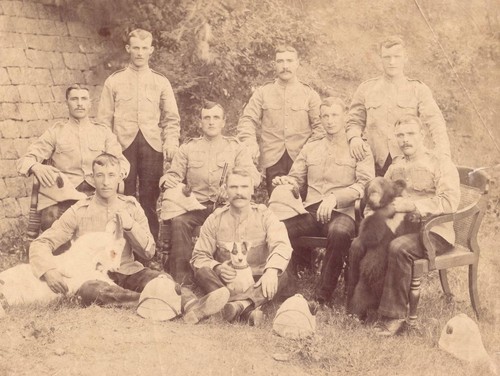 Albumen photo 1899 1900 - albumen, boer