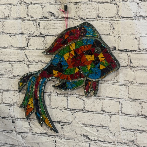 Rainbow angel tropical - rainbow, fish