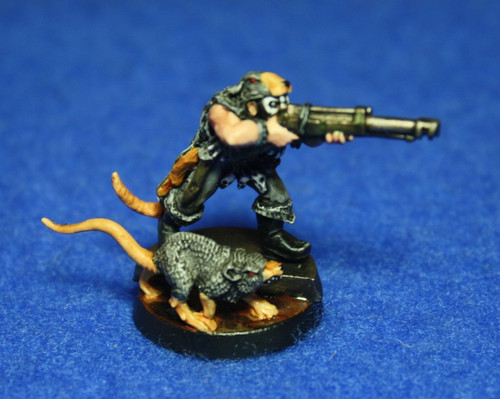 Painted necromunda ratskin - painted,