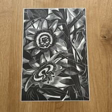 John Farleigh - Passion Flower
