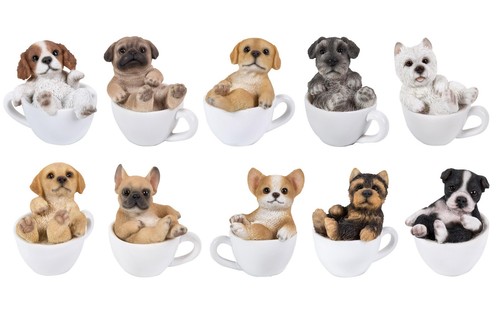 Mini teacup puppy - teacup, pals