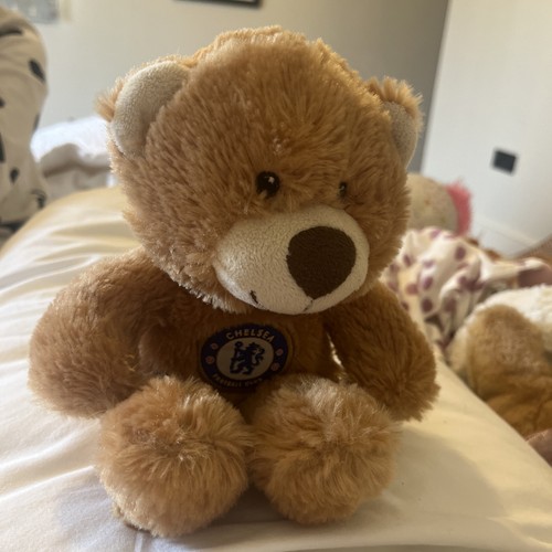Chelsea scruffy teddy - chelsea, bear