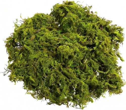 Fake moss artificial - artificial, for