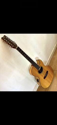 Washburn rare 12 - washburn🔥v., rare🔥12