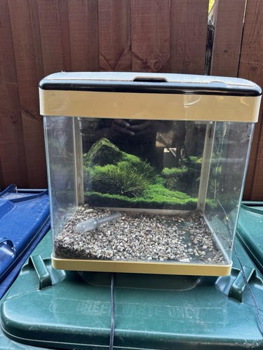 Betta choice lifespace view - view, 49