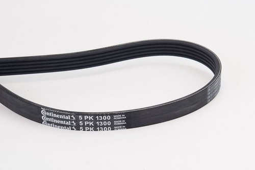 Belt set continental ctam - set,