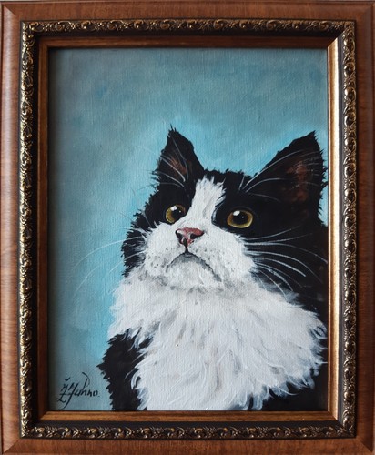 Black and white - white, cat
