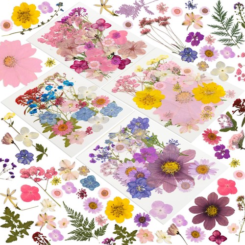 204 pcs dried pressed flowers - pcs,