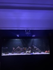 53ft 35ft x 1 - l6.53ft, h5.35ft
