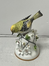 Peter barret goldcreast bird