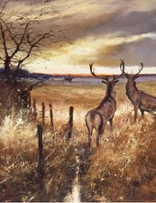 Mick Cawston 'The Onlookers'