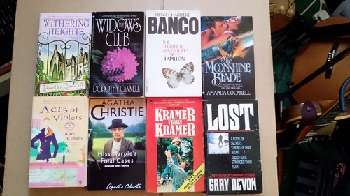Job lot 133 33 paperbacks - 33,