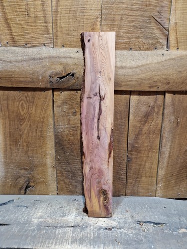 Live edge yew slab - live,