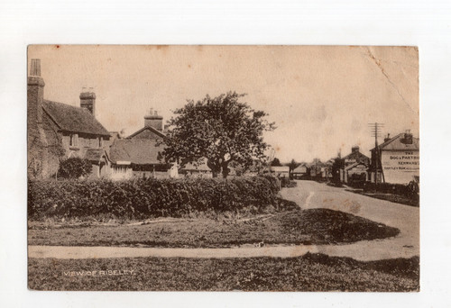 Kgv view riseley - kgv,