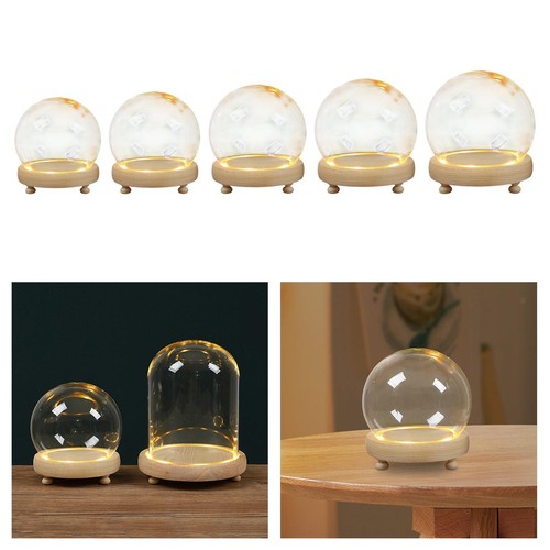 Display dome with wood base - display,