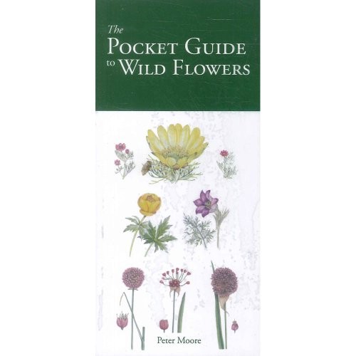 The pocket guide - guide,