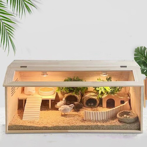 Chick brooder container - chick, quail
