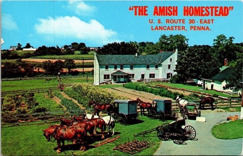 Amish homestead lancaster - amish,