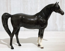 Beswick Arab Xayal Stallion